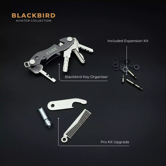 Blackbird Metal Key Organiser